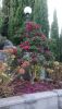 DSC_0360.thumb.JPG.01570d4c7bb40ea3f86c9b32e25d676e.JPG