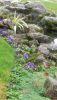 DSC_0376.thumb.JPG.ef328bf1a6535112d7329ad74b35a492.JPG