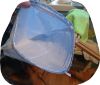 DSC_0384.thumb.JPG.95523742f70301f2fa53755e084ca908.JPG