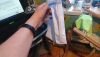 DSC_0386.thumb.JPG.dc84aaadf4287bd23d8cb477da8e4578.JPG