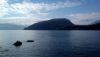 DSC_0390.thumb.JPG.344c2ccbc1568340cb4c43c9855ca78e.JPG
