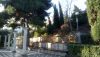 DSC_0472.thumb.JPG.d43bbe3ab431006de11aa5884f4e529f.JPG