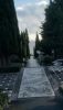 DSC_0473.thumb.JPG.0ecf201f4902c073b2ccdefb3b6475e5.JPG