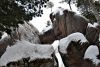DSC_0497.thumb.JPG.8cbfd656cd32d3b6f182bcfae1a56a92.JPG