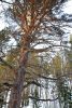 DSC_0513.thumb.JPG.10779b2377b425441fcccbc4d04f93f3.JPG