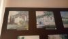 DSC_0522.thumb.JPG.880152e0ce261476814fcd5a32145dbf.JPG