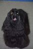 DSC_0600.thumb.JPG.5a11eb817e7d2daa7a5f3ae80295316e.JPG