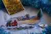 DSC_1001.thumb.jpg.81b235678533e3d4b9815a87e9a401ce.jpg
