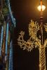 DSC_3425.thumb.jpg.31925ef5145308f6013a1c4a636027e8.jpg