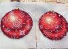 IMG-20171118-WA0005.thumb.jpeg.5bc26dec94e0cd955802853cb2c2e5a2.jpeg