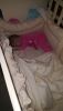 IMG-20180125-WA0000.thumb.jpg.324172cf1b2f203d8eb6adbdbc8f65b8.jpg