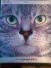 IMG_20171107_111507.thumb.jpg.59a84b312b9c5be3c9a75c381ffafa65.jpg?1517234532353