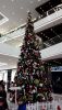 IMG_20171217_182617.thumb.jpg.95e7433589df2adff560bd8fe4ed64b0.jpg