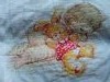 IMG_20180101_144856.thumb.jpg.f8bd09d674b0ccfd2fcf6d024cad8c86.jpg?1514972032322