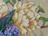 IMG_20180104_194032.thumb.jpg.0c46ca29931bde7c0a547331a3f1cbab.jpg