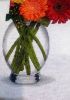 IMG_20180107_232419.thumb.jpg.98c6a11ebed92e8fe5094237a432c727.jpg