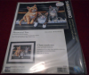 IMG_20180113_184946.thumb.png.a8dd963582fa6c375ce1c3274f0baf07.png