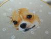 IMG_20180113_235047.thumb.jpg.ded49b9657181d37841bad944e55940a.jpg