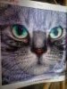 IMG_20180118_101221.thumb.jpg.dd46aec34517b2a358baa9ce5f5493d0.jpg?1517234526143