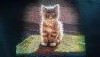 IMG_20180119_100913.thumb.jpg.aa9403b9a7424ac405bc04e6f7a18684.jpg?1516346280929