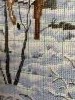 IMG_4231.thumb.JPG.106b3973efc1bcfd19db10ae8475c61b.JPG?1516947033256