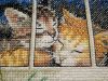 IMG_663222.thumb.jpg.7454af89864d373a09cad445b57ae4d8.jpg