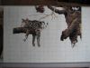 IMG_8870-1.thumb.jpg.202c92fb6714a5dfa87c21d1c41adfef.jpg