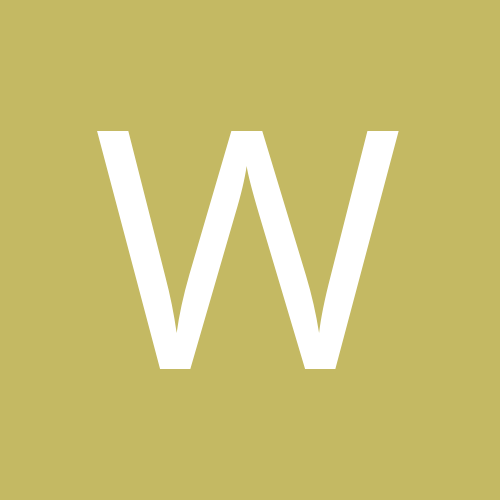 wittycactus