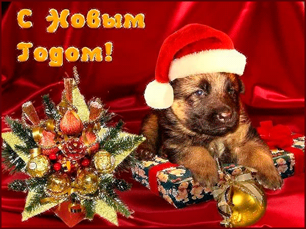 gif-otkrytka-s-novym-godom-2018-1.thumb.gif.b5c2ae1a002c34bb5a37499c384f6518.gif