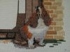 image.thumb.jpeg.9b9da7883abb04ac82cd4e19e65eaf37.jpeg