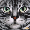 ta-154_2_tela_artis.thumb.png.e1f52af3ce8ffc5639daf5f5ec3648f0.png