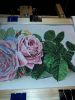 1.thumb.jpg.e0553754f4a9319b3d5255d2031f2ba3.jpg