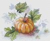 13663.thumb.jpg.20b249125abf99e2bcb74e478b307e00.jpg