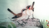 201.thumb.png.e8f4cf504dbe6d5d9db88933c8cec2a3.png