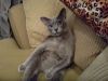 20160308_134314.thumb.jpg.ef04068ce13f81ac8ddfe44245d5baf9.jpg