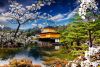 20160602013100_Dom_22010.thumb.jpg.4565c7de4d436439ec6238e6240e9796.jpg