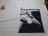 20180106_120841.jpg