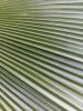 20180130_134946.thumb.jpg.28626a2c48388b772bed21f0103bad55.jpg
