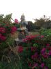 20180130_135256.thumb.jpg.7d63ee94659f97dbabcf995be81f18f0.jpg