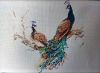 20180203_153500.jpg.89a90ad58e3e11e0d211aa75b61fa564.thumb.jpg.5122d93f25256baf0d2f3be793d5f305.jpg