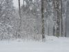 20180204_141749(0).thumb.jpg.8c9c7307a2fa41a6b3615fdd79131503.jpg