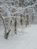 20180204_142852.thumb.jpg.51b76bdb5961fc72fe722804ba7033b1.jpg