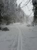 20180204_144904.thumb.jpg.3730de1bdb2651ecfd94ccc8cced88dc.jpg