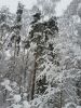 20180204_153822.thumb.jpg.283c31d6e3f6ce221d6abff7bb605a38.jpg