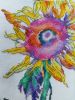 20180205_123251.thumb.jpg.ba8746e4bcece8830b46839bd7caeda7.jpg