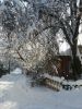 20180206_122337.thumb.jpg.9310f8f8b9e1f1c42e0134e919d32993.jpg