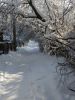 20180206_122354.thumb.jpg.f18ec5519c67a235b508f89502c14348.jpg