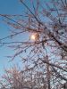 20180206_173102.thumb.jpg.1328e6f98c9fffbb642008936a306a94.jpg