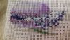 20180209_221308.thumb.jpg.63df7330bcae4c52486477701b497c37.jpg