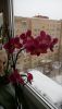 20180210_140628_Burst01.thumb.jpg.2749a6e008d7fc940c52f31a69252be0.jpg